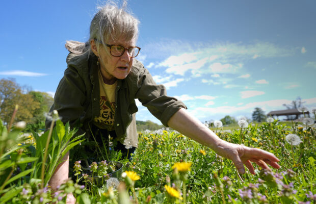 Foraging revival: How wild food enthusiasts are reconnecting with nature Foraging revival: How wild food enthusiasts are reconnecting with nature
