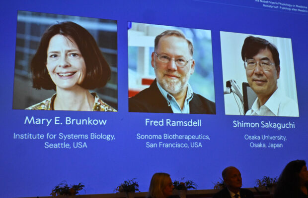 The Nobel Prize in medicine goes to 3 scientists for work on the human immune system The Nobel Prize in medicine goes to 3 scientists for work on the human immune system